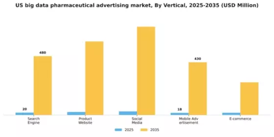 US Big data pharmaceutical advertising Market Segment Image 2