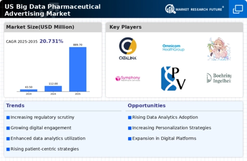 US Big data pharmaceutical advertising Market Infographic