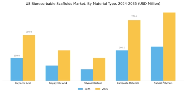 US Bioresorbable Scaffolds Market Segment Image 1
