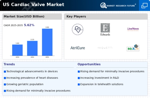 US Cardiac Valve Market Infographic