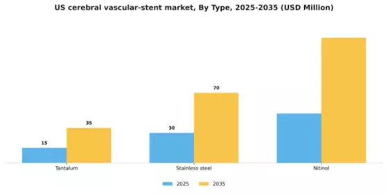 US Cerebral Vascular Stent Market Segment Image 1