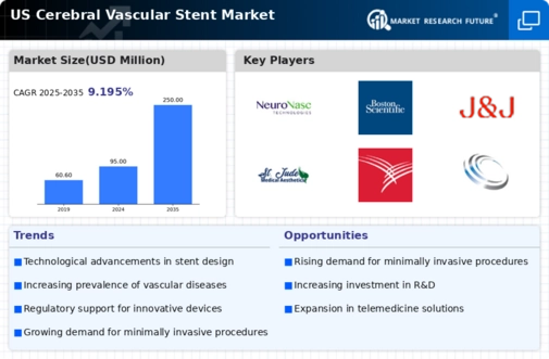 US Cerebral Vascular Stent Market Infographic