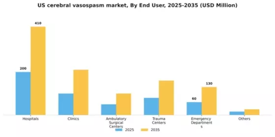 US Cerebral Vasospasm Market Segment Image 1