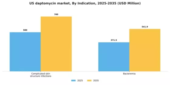 US Daptomycin Market Segment Image 1