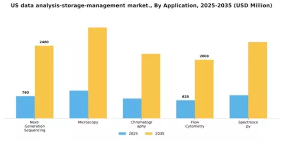 US Data Analysis Storage Management Market Segment Image 0