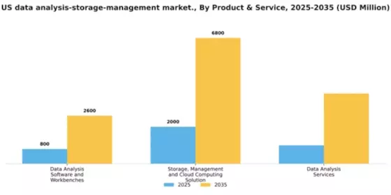 US Data Analysis Storage Management Market Segment Image 2