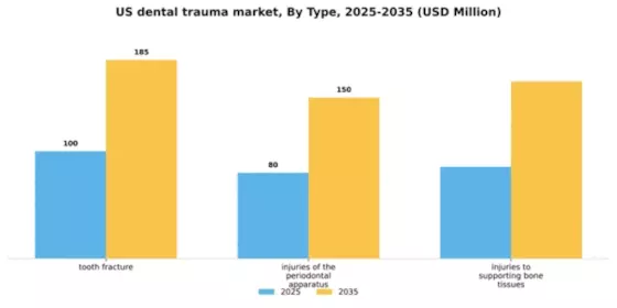 US Dental Trauma Market Segment Image 2