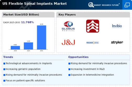 US Flexible Spinal Implants Market Infographic