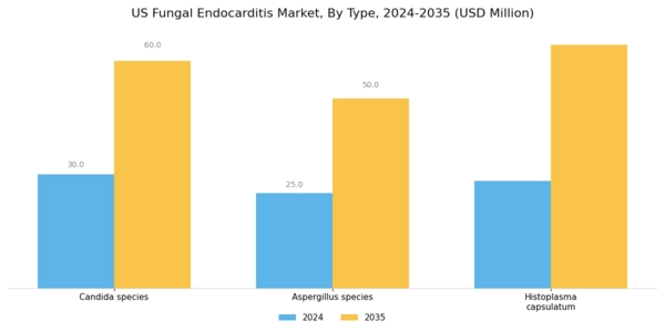 US Fungal Endocarditis Market Segment Image 0
