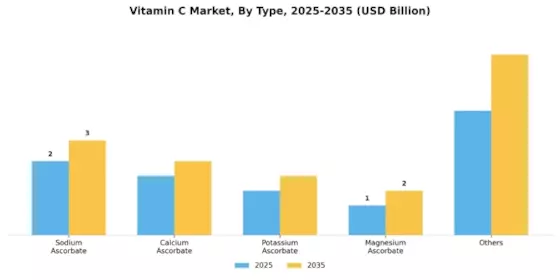 Vitamin C Market Segment Image 0