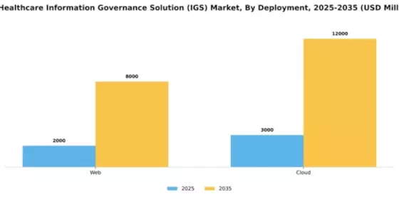 US Healthcare Information Governance Solution (IGS) Market Segment Image 1