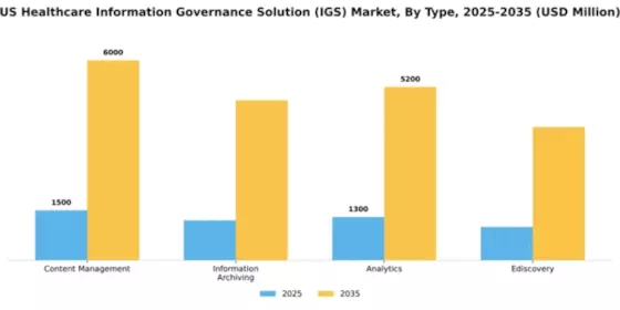 US Healthcare Information Governance Solution (IGS) Market Segment Image 2