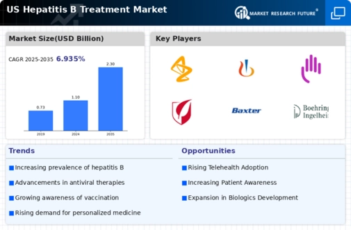 US Hepatitis B Treatment Market Infographic