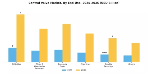 Control Valve Market Segment Image 1