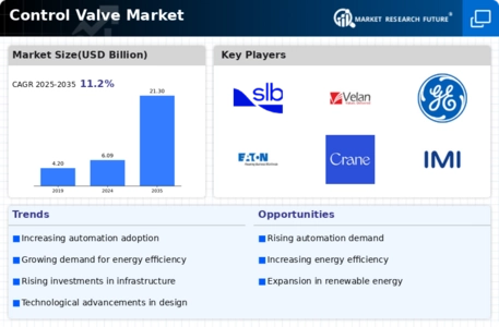 Control Valve Market Infographic