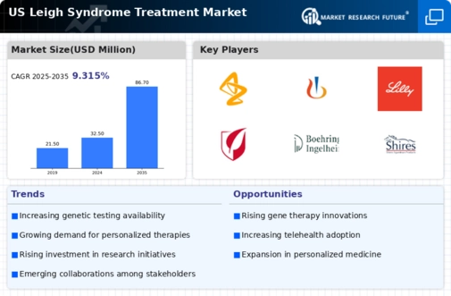 US Leigh Syndrome Treatment Market Infographic