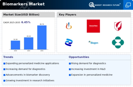 Biomarker Market Infographic