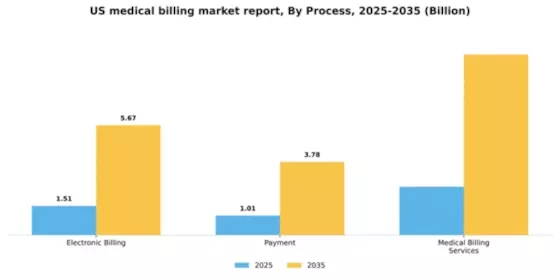 US Medical Billing Market Segment Image 1