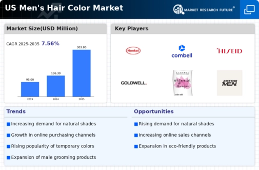 US Men Hair Color Market Infographic