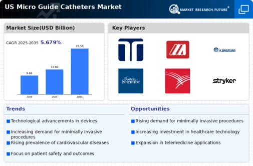 US Micro Guide Catheters Market Infographic