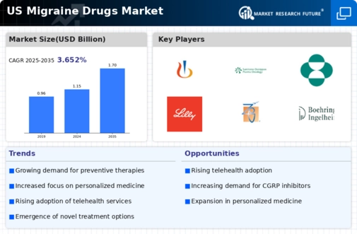US Migraine Drugs Market Infographic