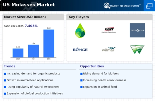 US Molasses Market Infographic