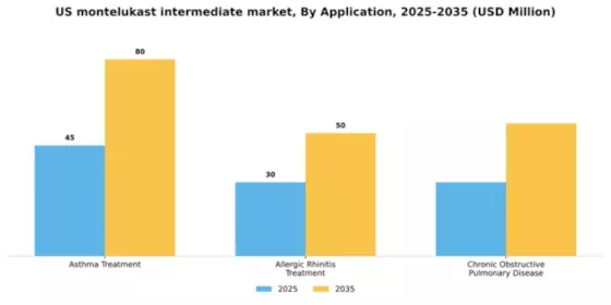 US Montelukast Intermediate Market Segment Image 0