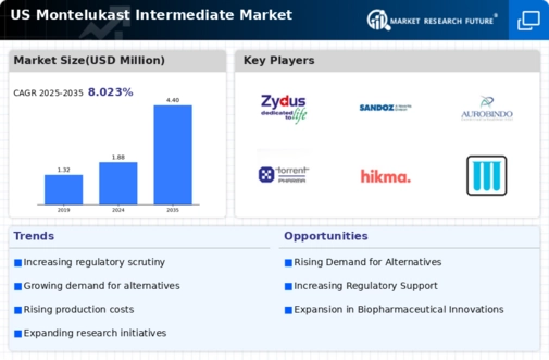 US Montelukast Intermediate Market Infographic