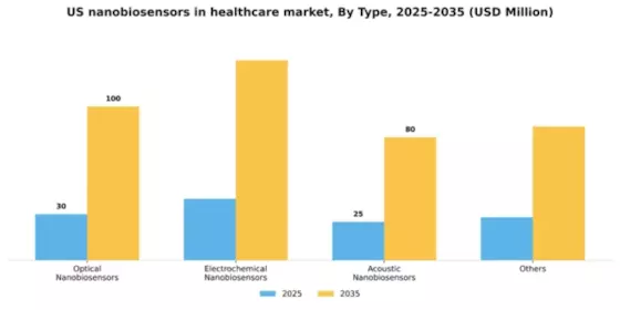 US Nanobiosensors in Healthcare Market Segment Image 2