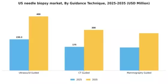 US Needle Biopsy Market Segment Image 2