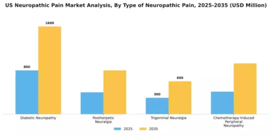 US Neuropathic Pain Market Segment Image 3