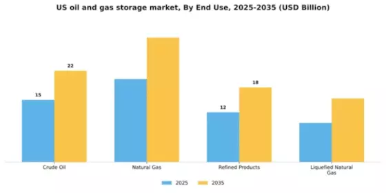 US Oil and Gas Storage Market Segment Image 0