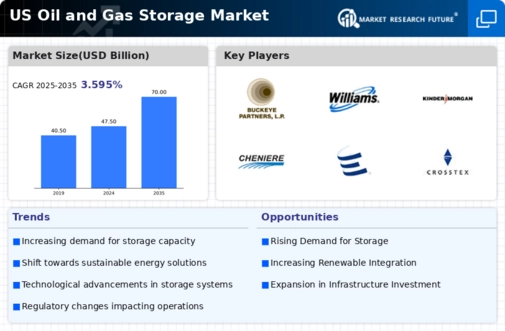 US Oil and Gas Storage Market Infographic