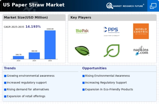 US Paper Straw Market Infographic