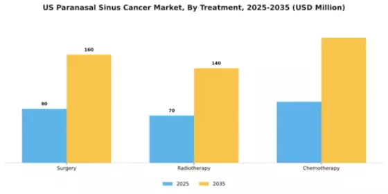 US Paranasal Sinus Cancer Market Segment Image 2