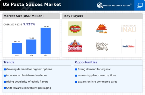 US Pasta Sauces Market Infographic