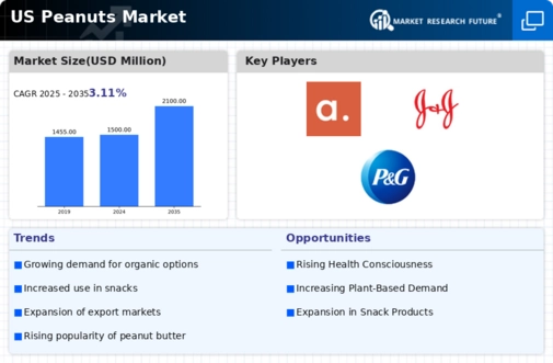 US Peanuts Market Infographic
