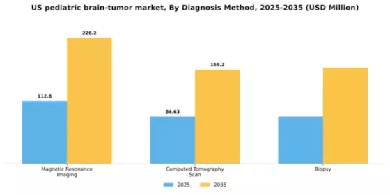 US Pediatric Brain Tumor Market Segment Image 1