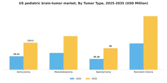 US Pediatric Brain Tumor Market Segment Image 3