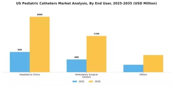 US Pediatric Catheters Market Segment Image 0
