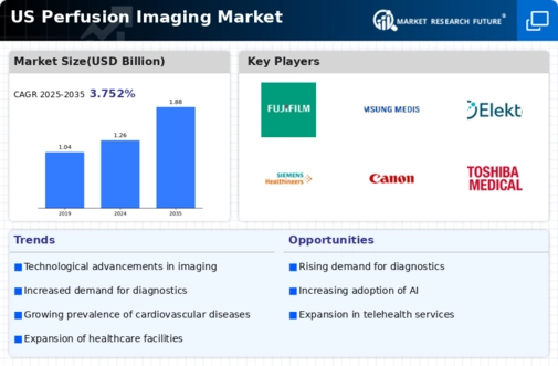 US Perfusion Imaging Market Infographic