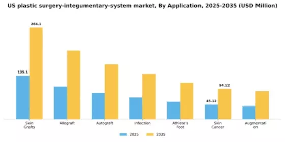 US Plastic Surgery Integumentary System Market Segment Image 0