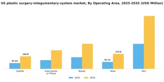US Plastic Surgery Integumentary System Market Segment Image 2