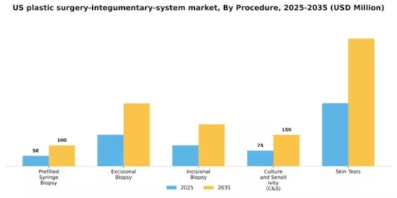 US Plastic Surgery Integumentary System Market Segment Image 3