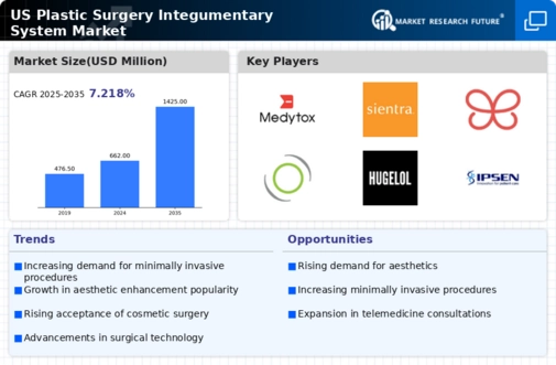 US Plastic Surgery Integumentary System Market Infographic