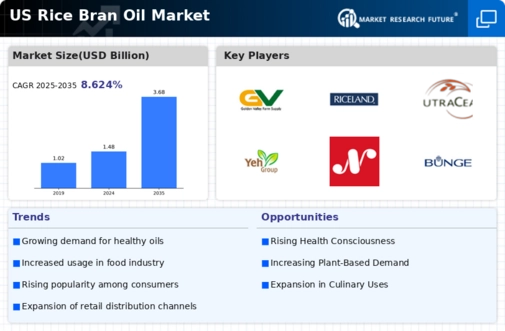 US Rice Bran Oil Market Infographic