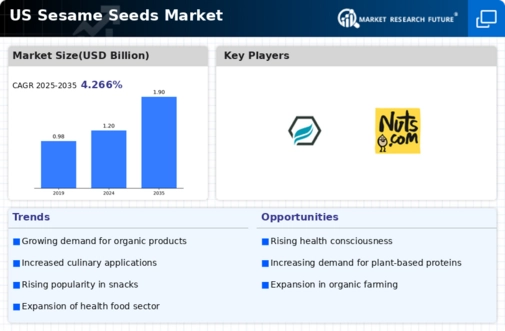 US Sesame Seeds Market Infographic