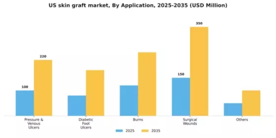 US Skin Graft Market Segment Image 0