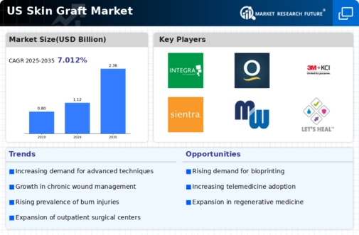 US Skin Graft Market Infographic