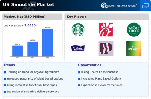 US Smoothie Market Infographic